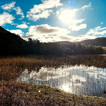 Дом отдыха Architect-designed With Sea View Hommersak